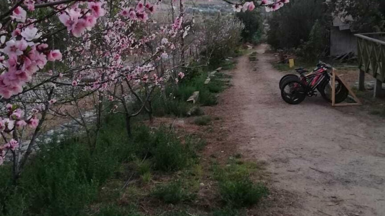 Photo of Outdoor in Vicuna