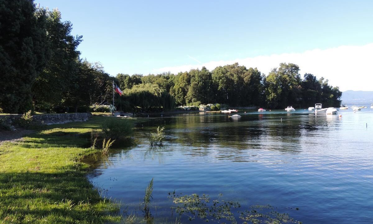 Photo of Outdoor in Panguipulli