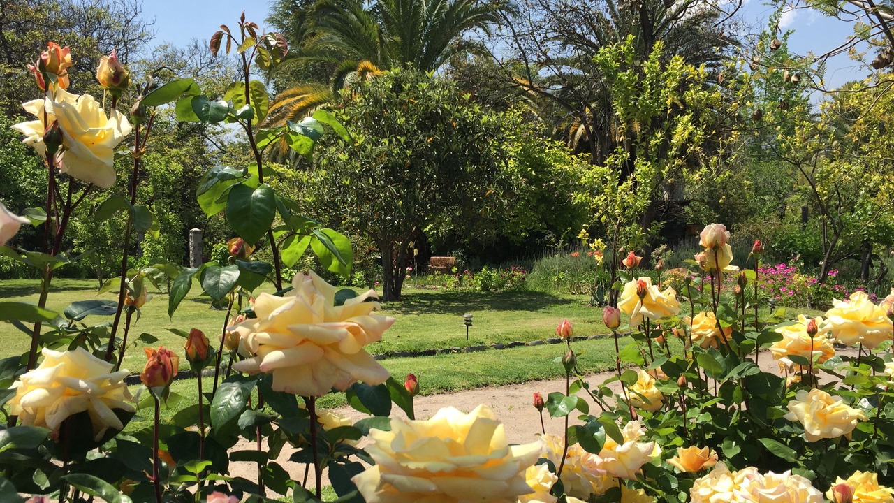 Photo of Outdoor in Pirque