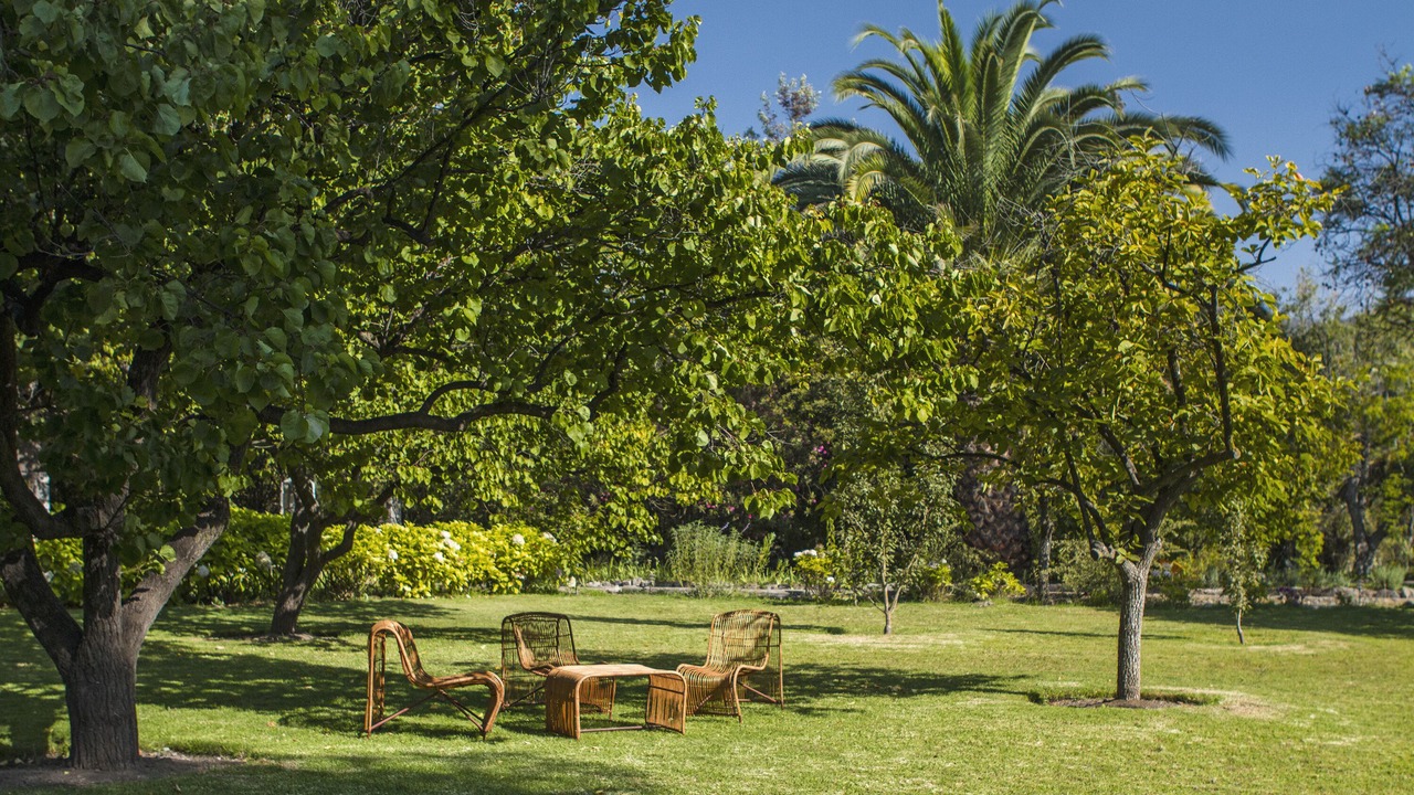 Photo of Outdoor in Pirque