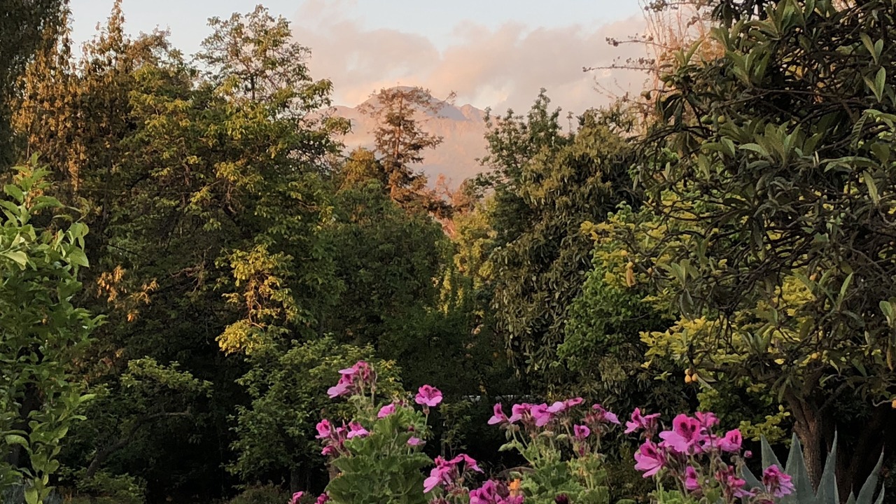 Photo of Outdoor in Pirque