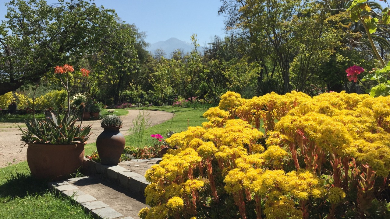 Photo of Outdoor in Pirque
