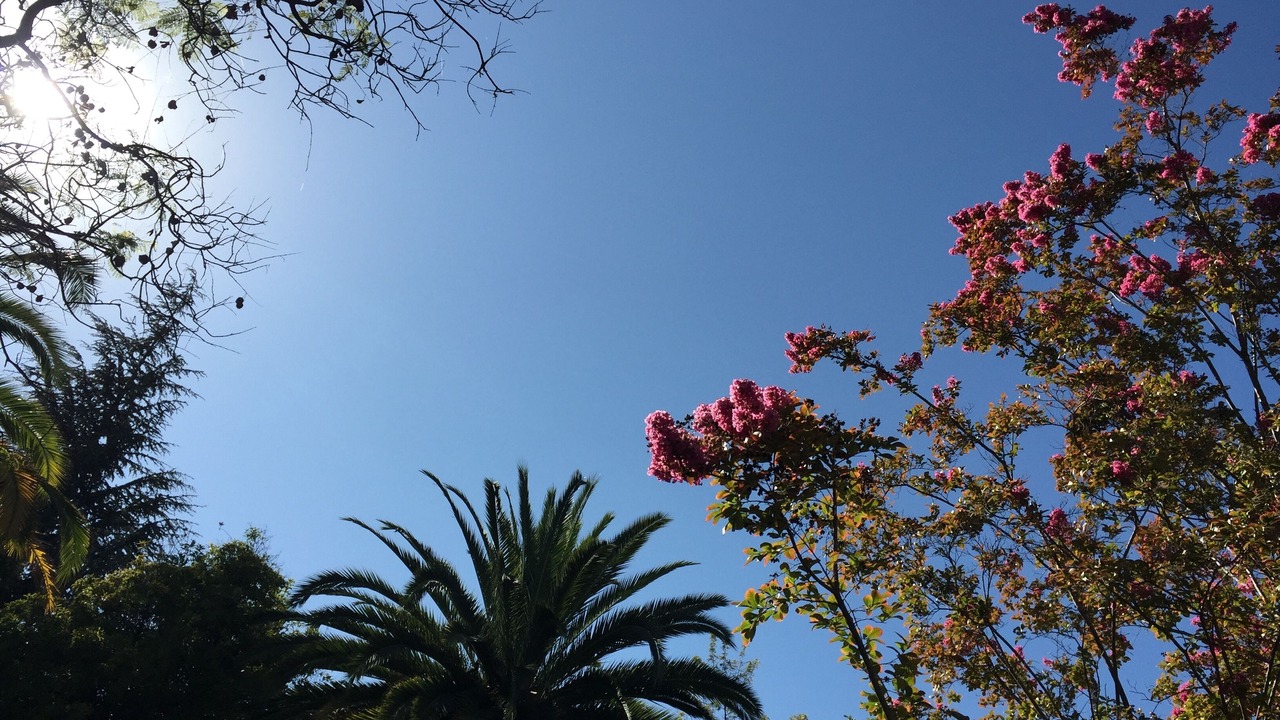 Photo of Outdoor in Pirque
