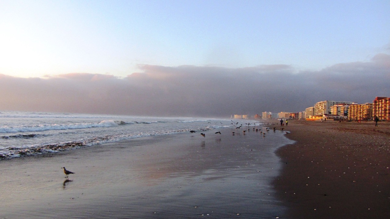 Photo of Others in La Serena