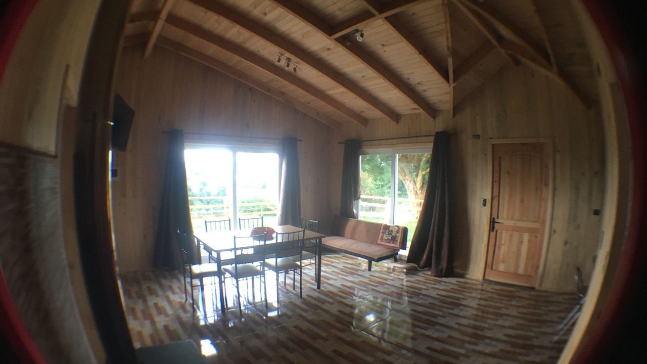Photo of Others in Puyehue