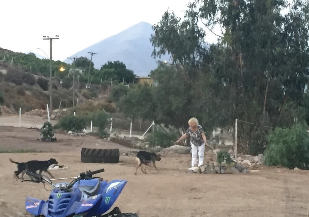 Photo of Outdoor in El Molle