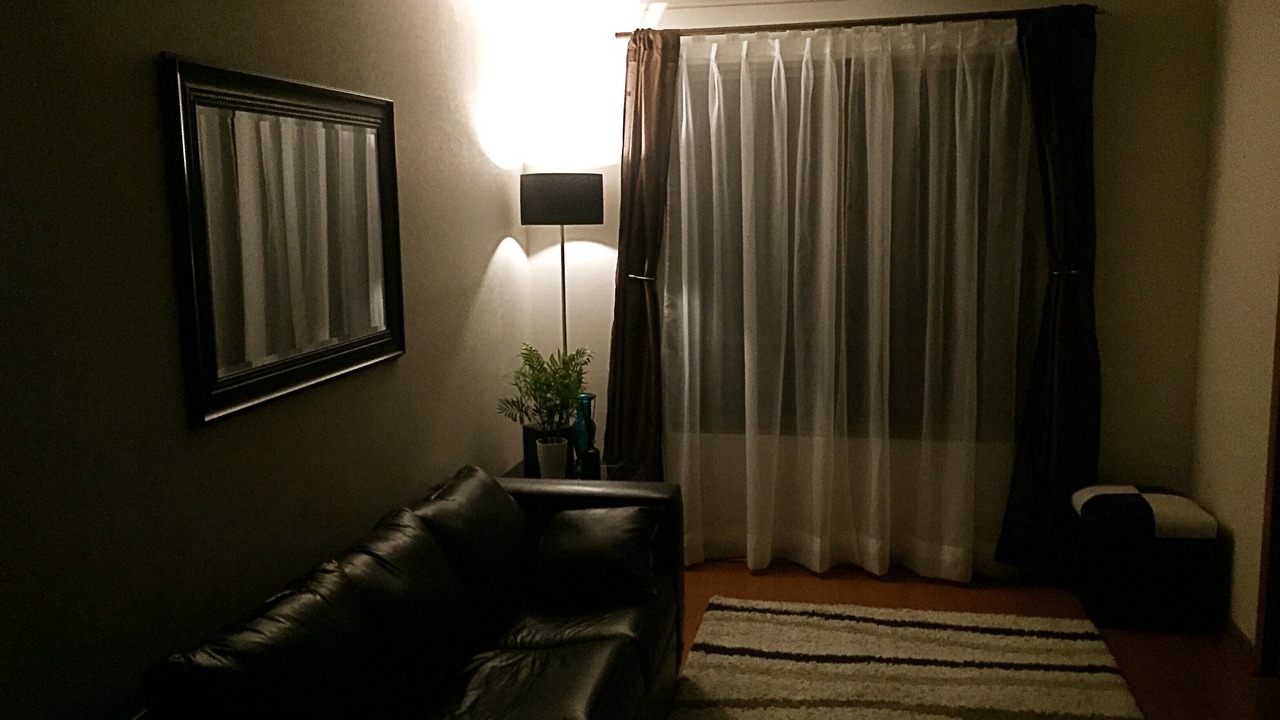 Photo of Livingroom in Bellas Artes
