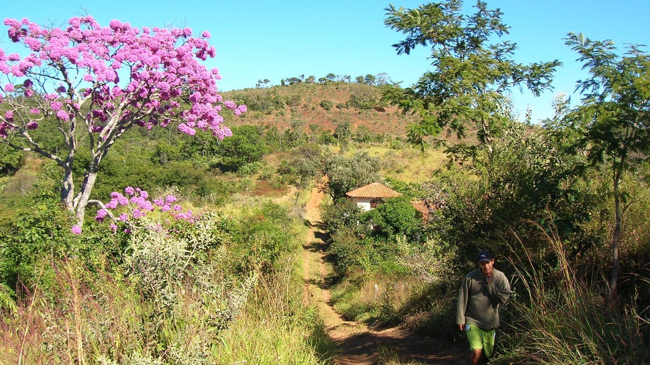 Photo of Outdoor in Alto Paraiso de Goias
