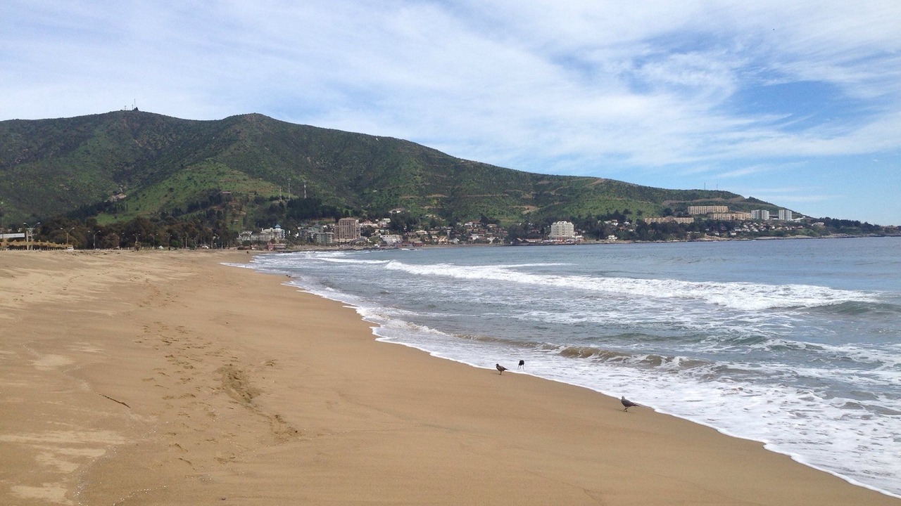 Photo of Others in Papudo
