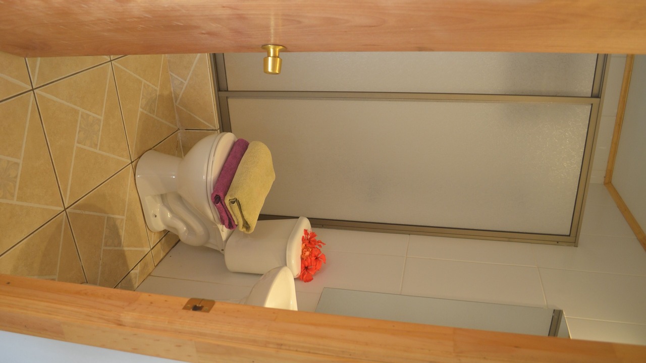 Photo of Bathroom in Hanga Roa