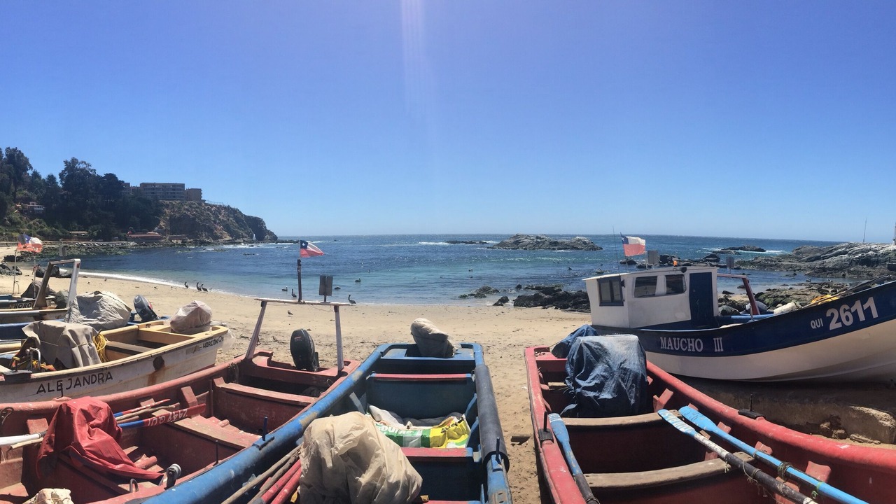 Photo of Others in Caleta Horcon