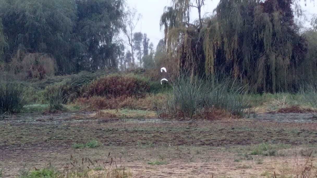 Photo of Outdoor in Santa Cruz