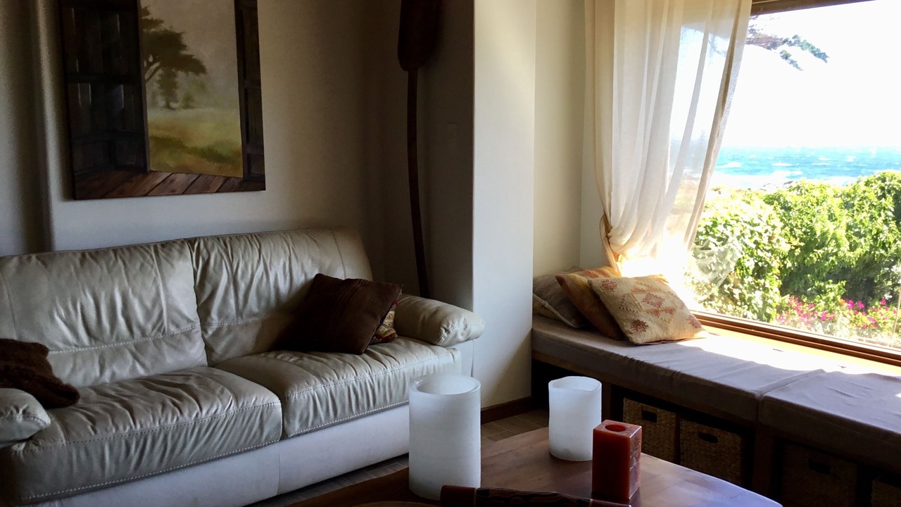 Photo of Livingroom in Isla Negra