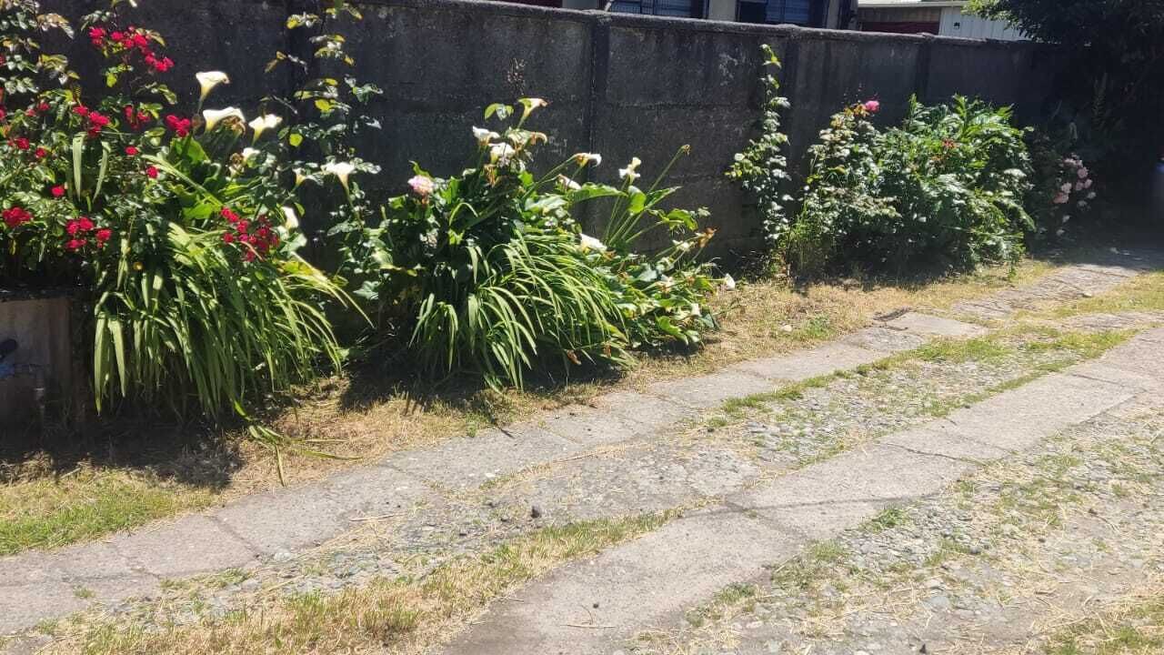 Photo of Outdoor in Puerto Montt