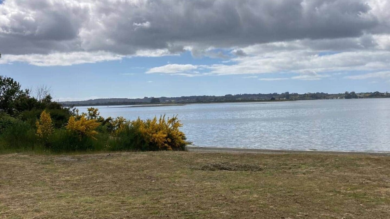 Photo of Others in Ancud