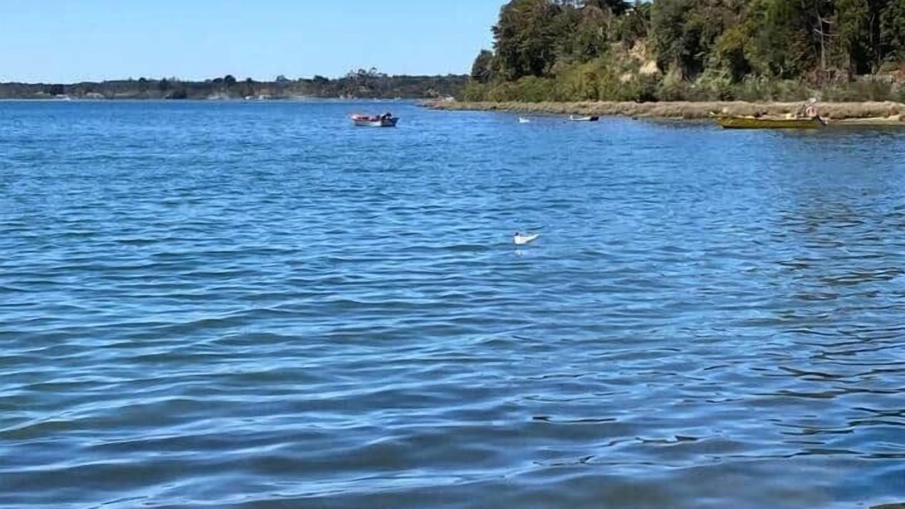 Photo of Others in Ancud