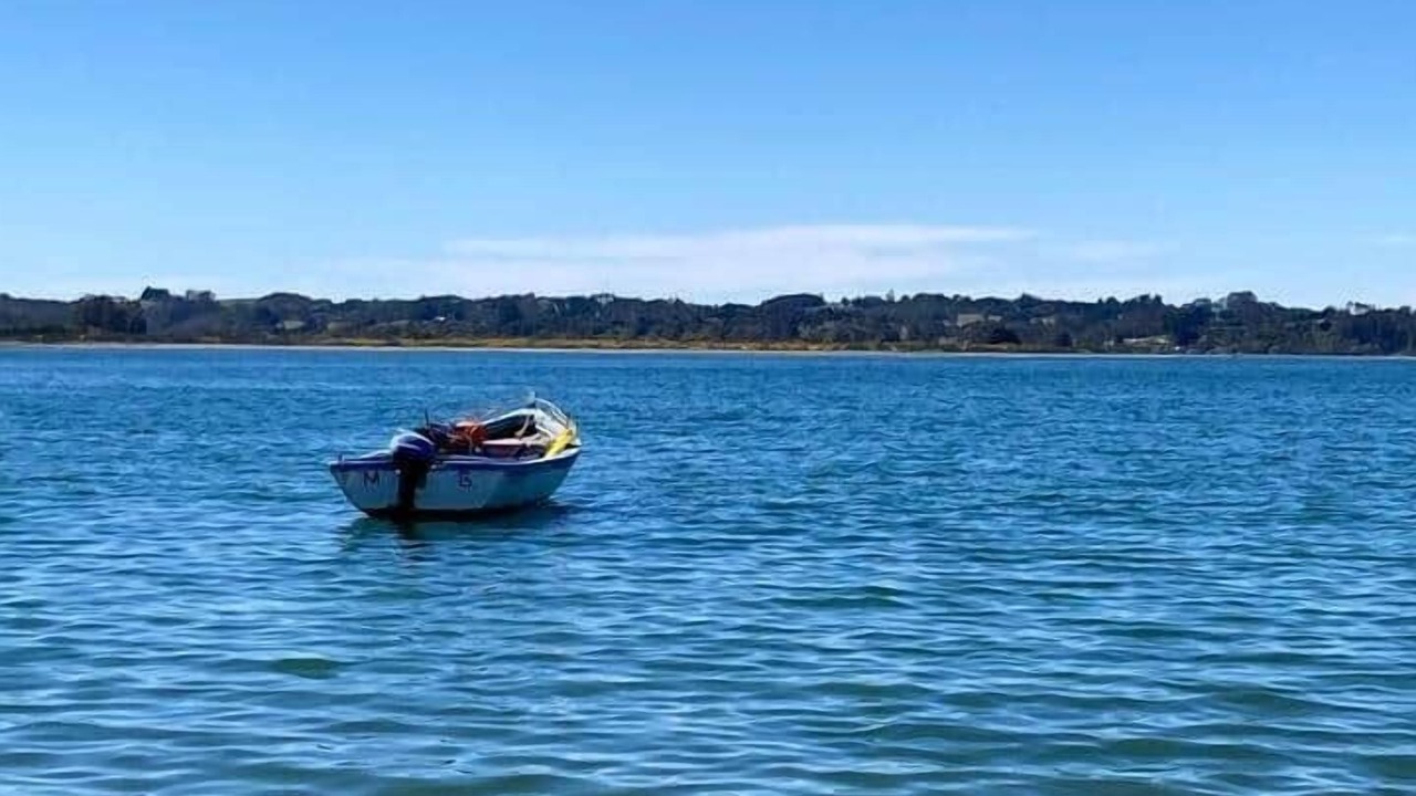Photo of Others in Ancud