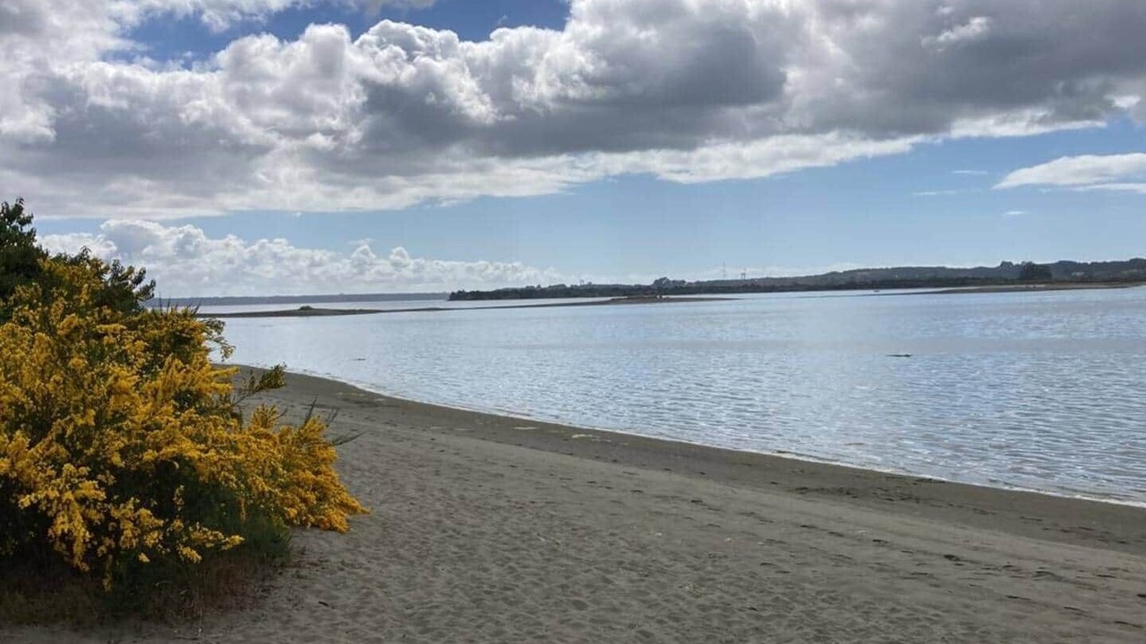 Photo of Others in Ancud