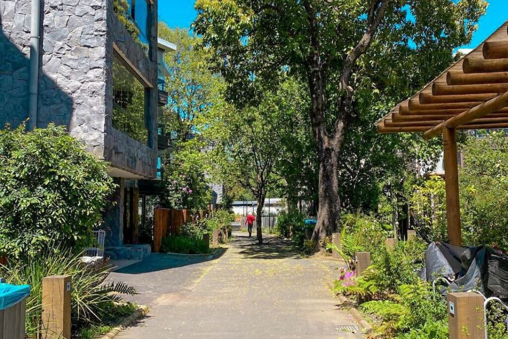 Photo of Outdoor in Pucon