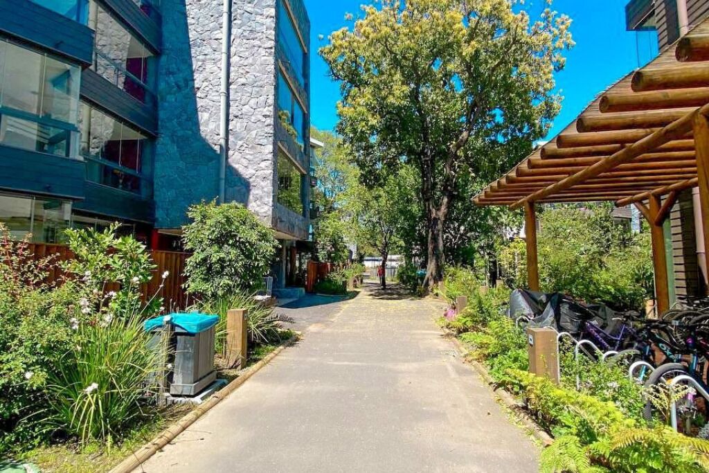 Photo of Outdoor in Pucon