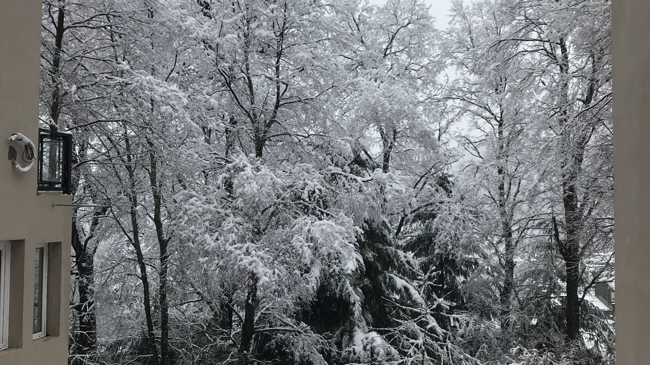 Photo of Outdoor in San Martin de los Andes