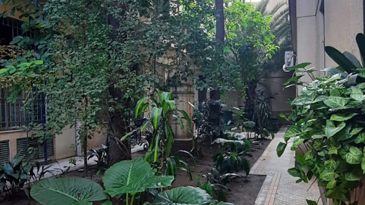 Photo of Outdoor in Constitucion