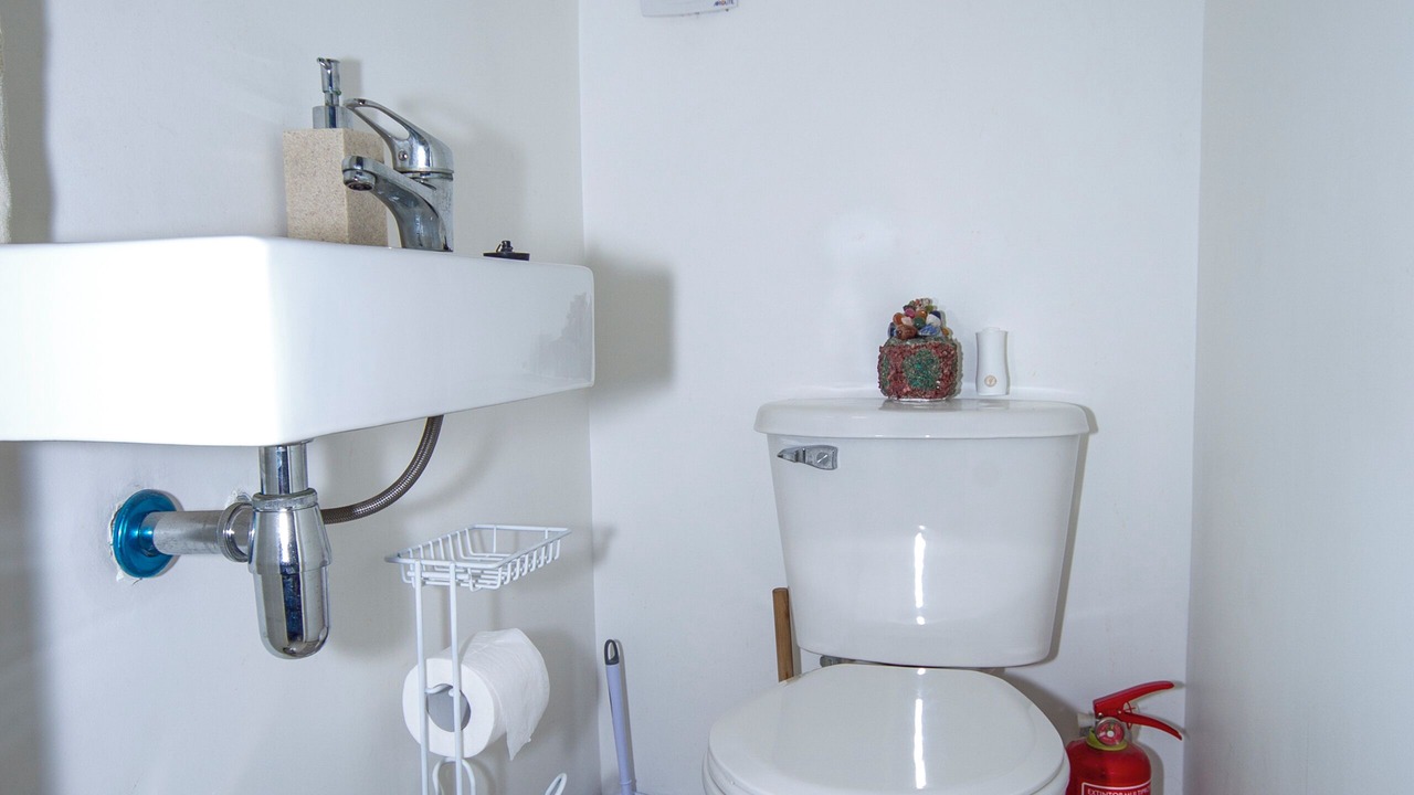 Photo of Bathroom in Pucon