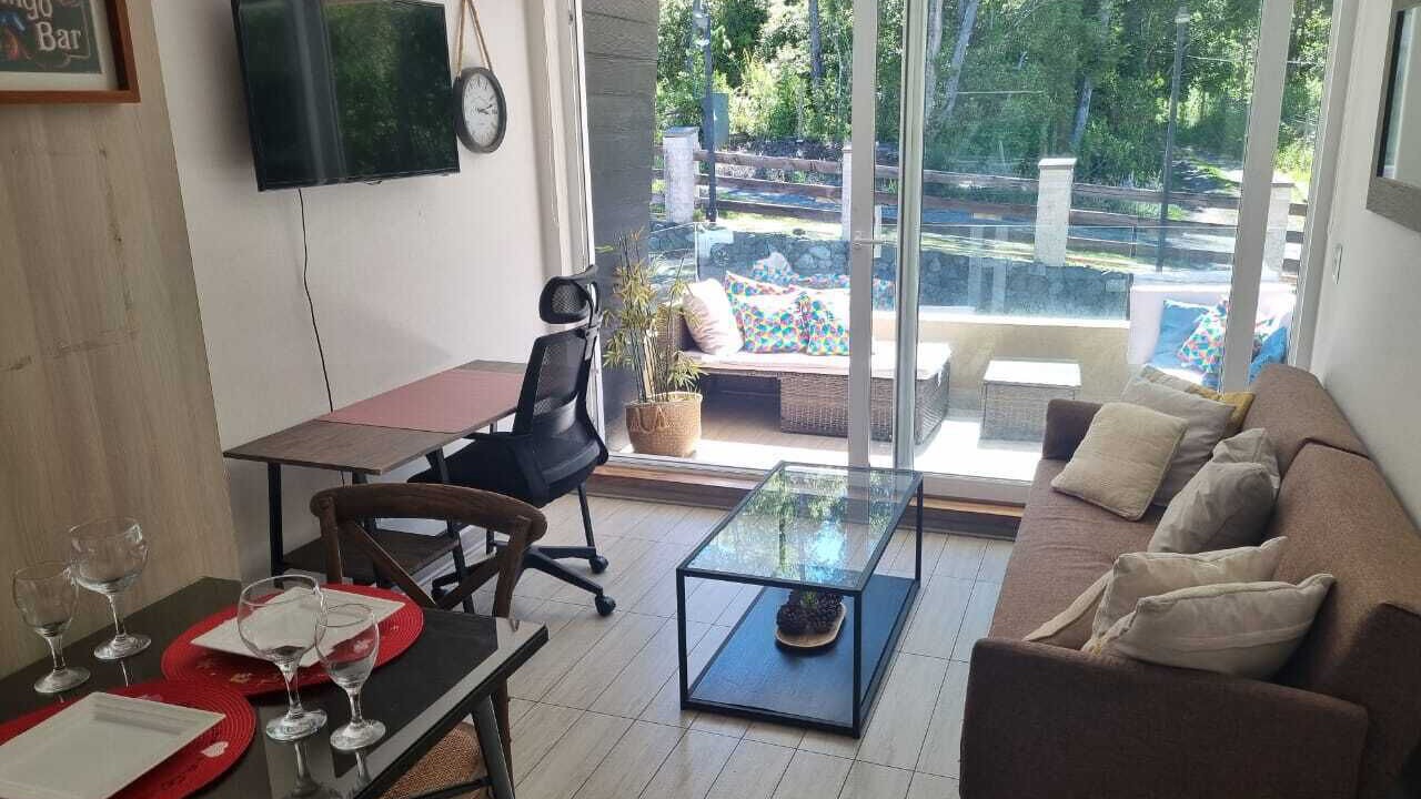 Photo of Livingroom in Pucon