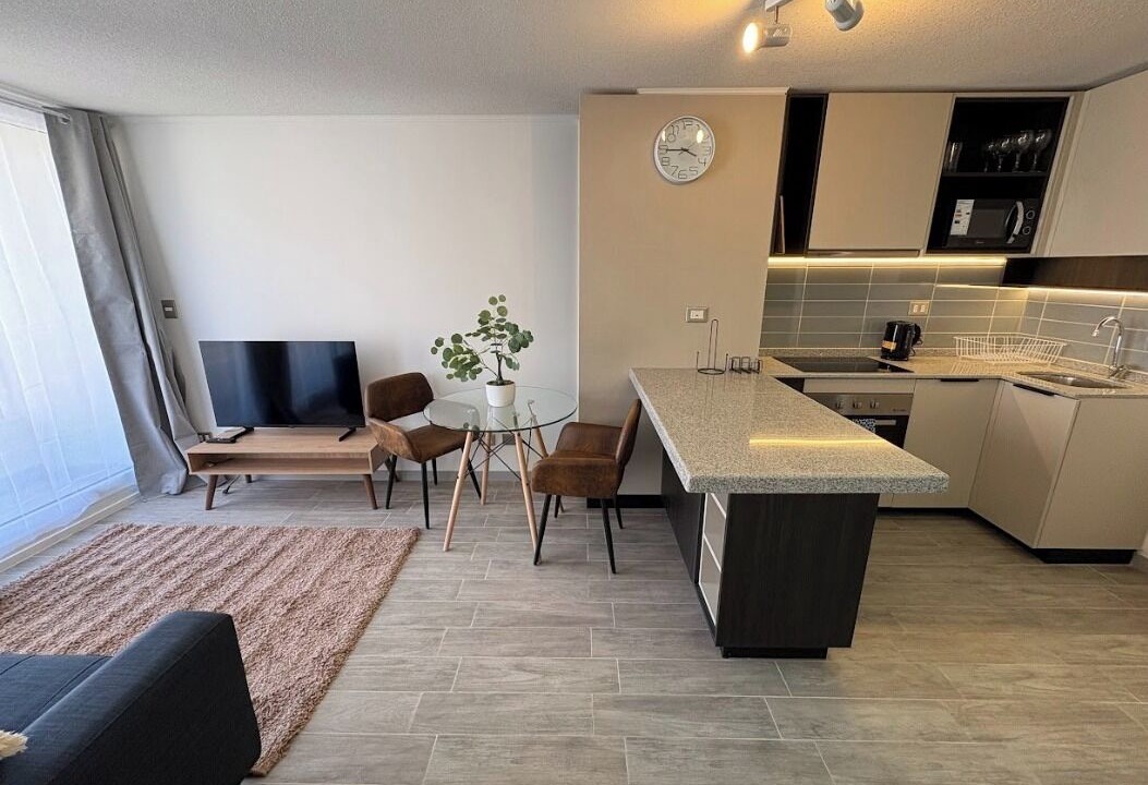 Photo of Livingroom in Downtown Santiago
