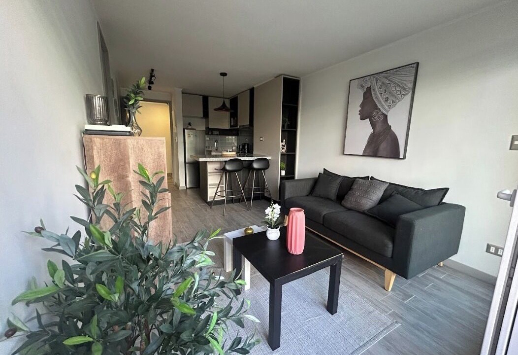 Photo of Livingroom in Downtown Santiago