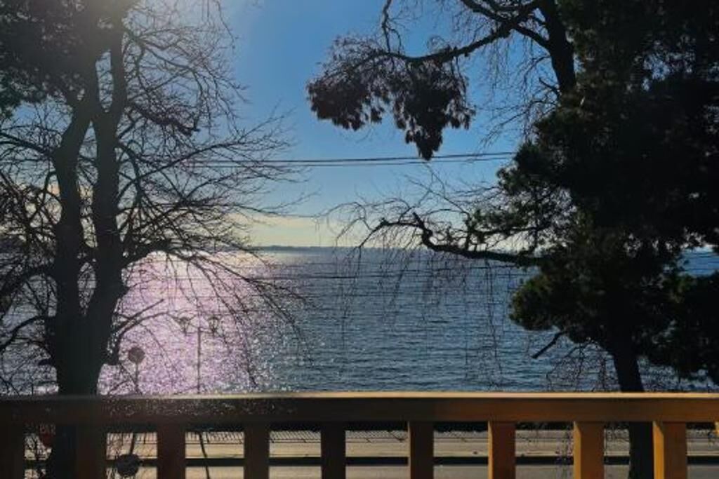 Photo of Outdoor in Puerto Varas