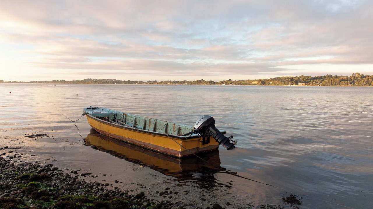 Photo of Others in Ancud