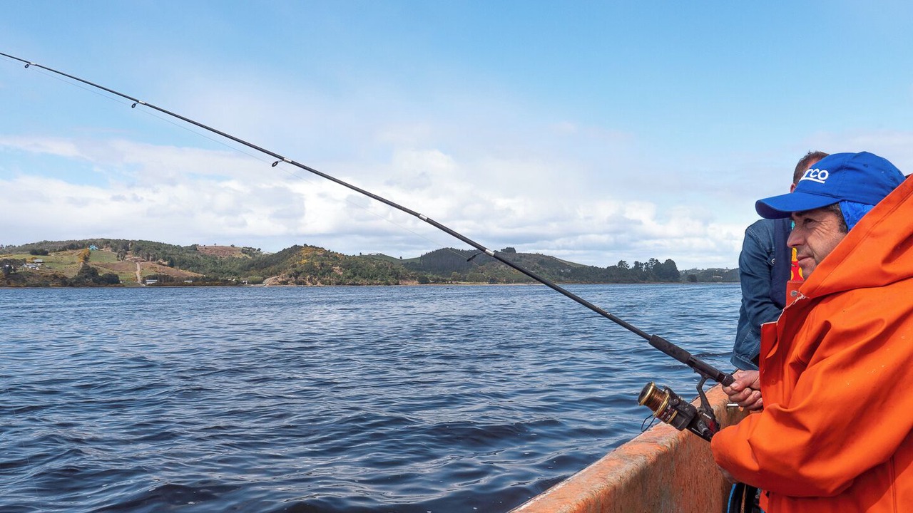 Photo of Others in Ancud