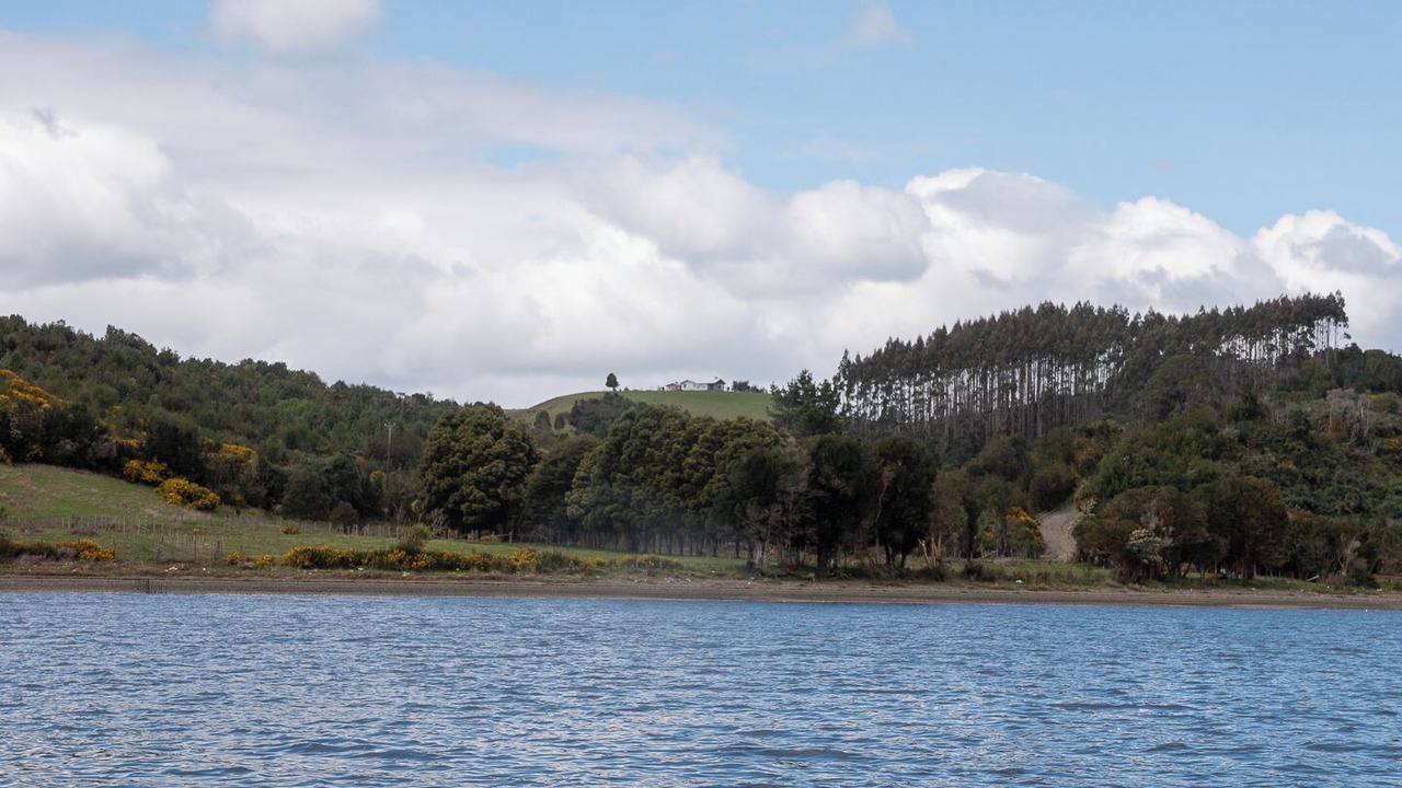 Photo of Others in Ancud