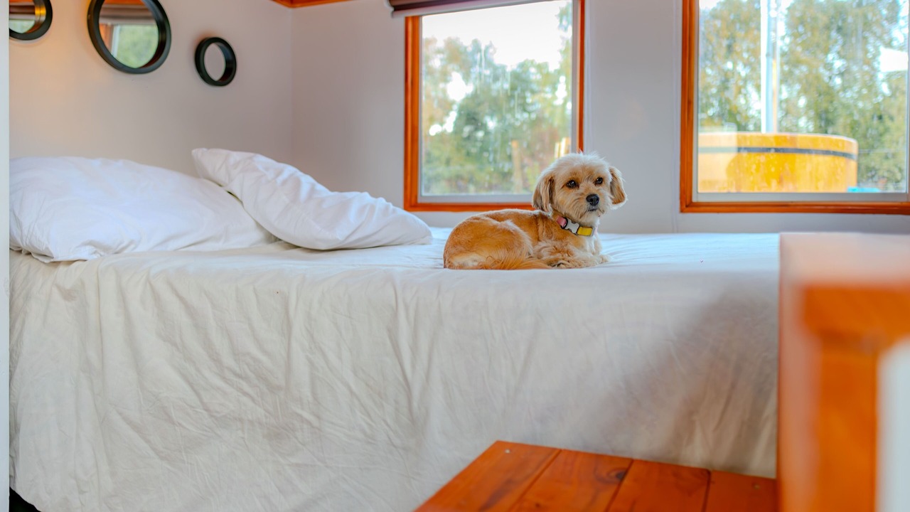 Photo of Bedroom in O'Higgins Region