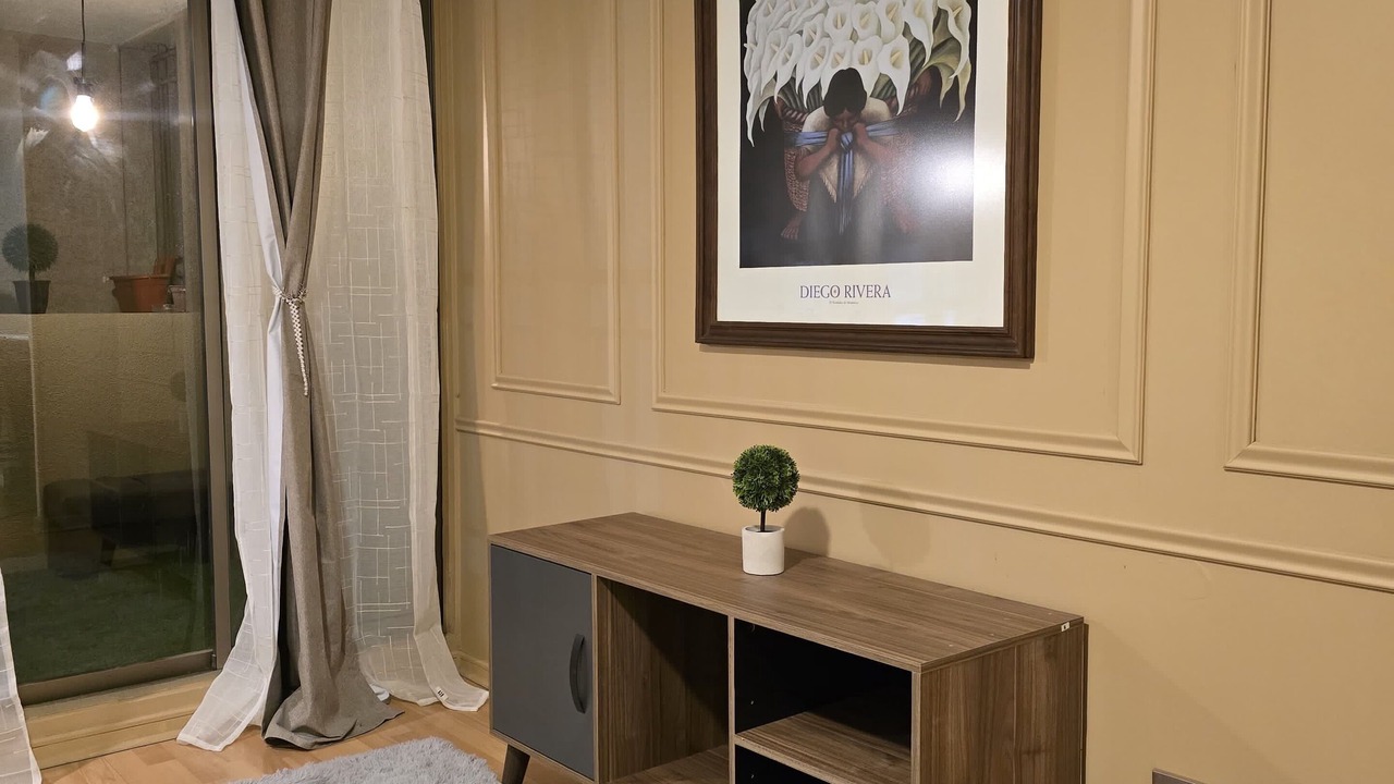Photo of Livingroom in Downtown Santiago