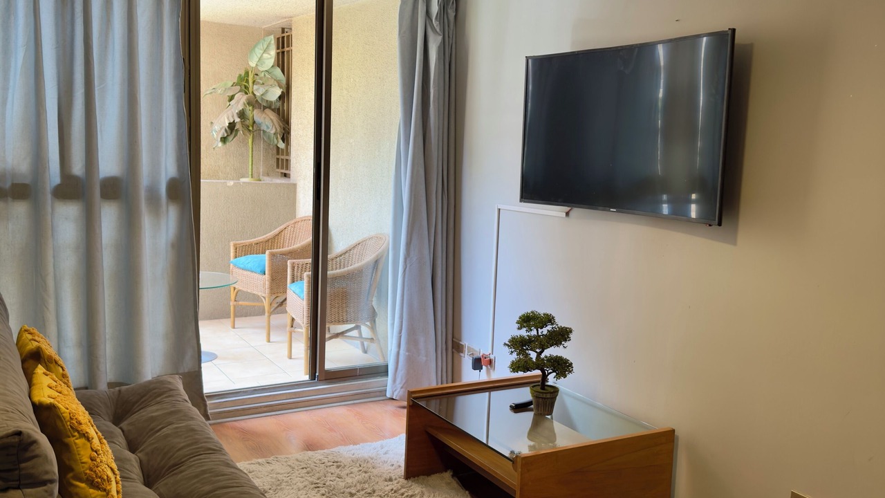 Photo of Livingroom in Downtown Santiago