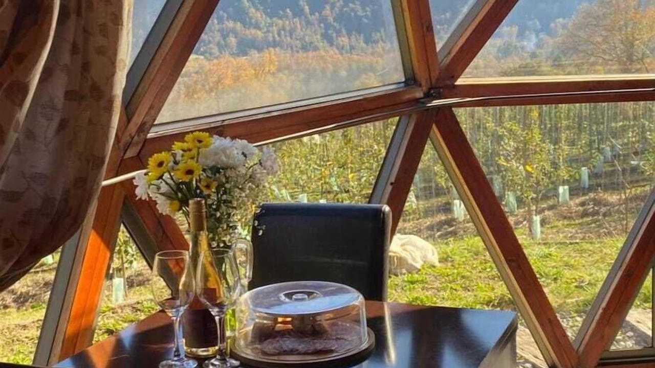 Photo of Livingroom in Pucon