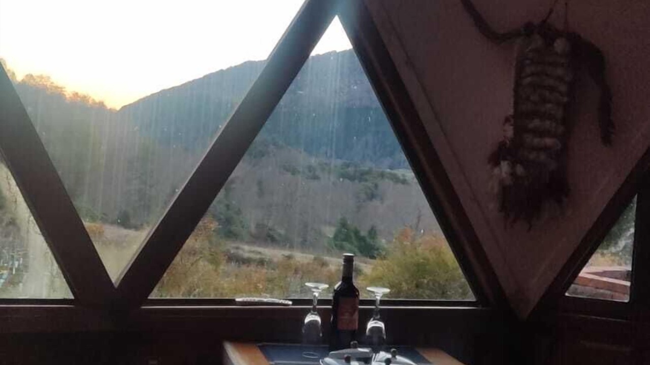 Photo of Livingroom in Pucon