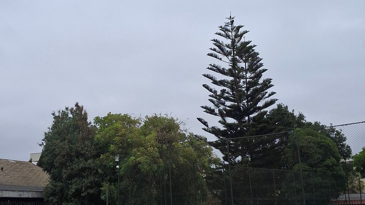 Photo of Outdoor in Vina del Mar