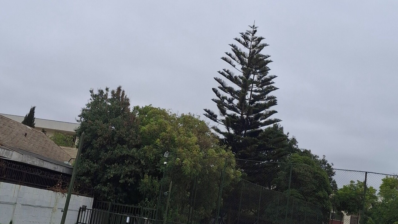 Photo of Outdoor in Vina del Mar
