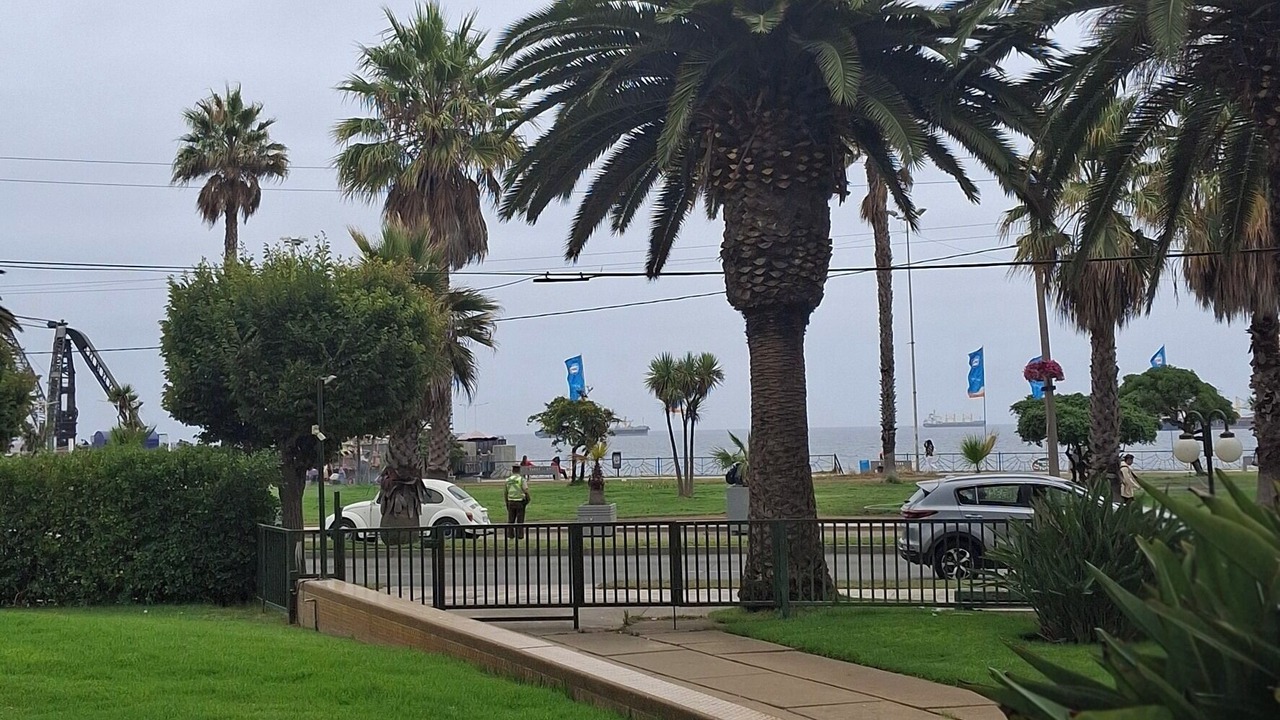 Photo of Others in Vina del Mar