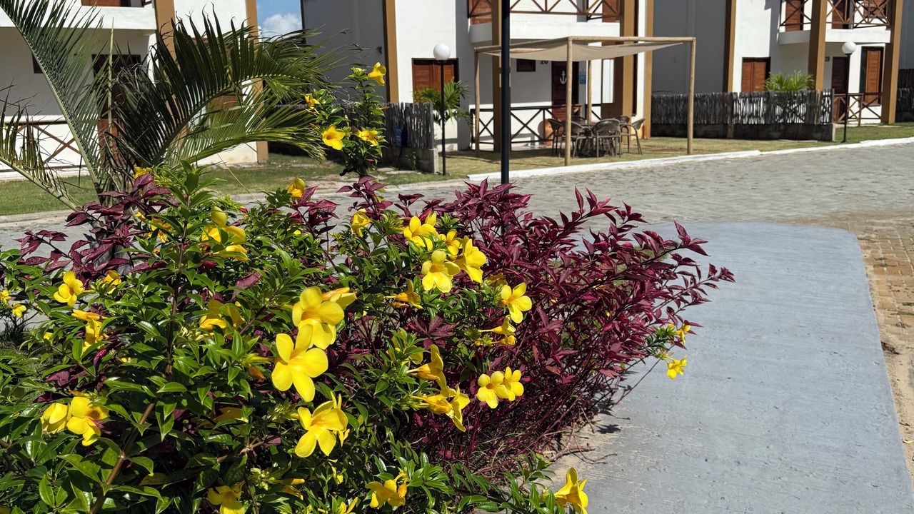 Photo of Outdoor in Atins