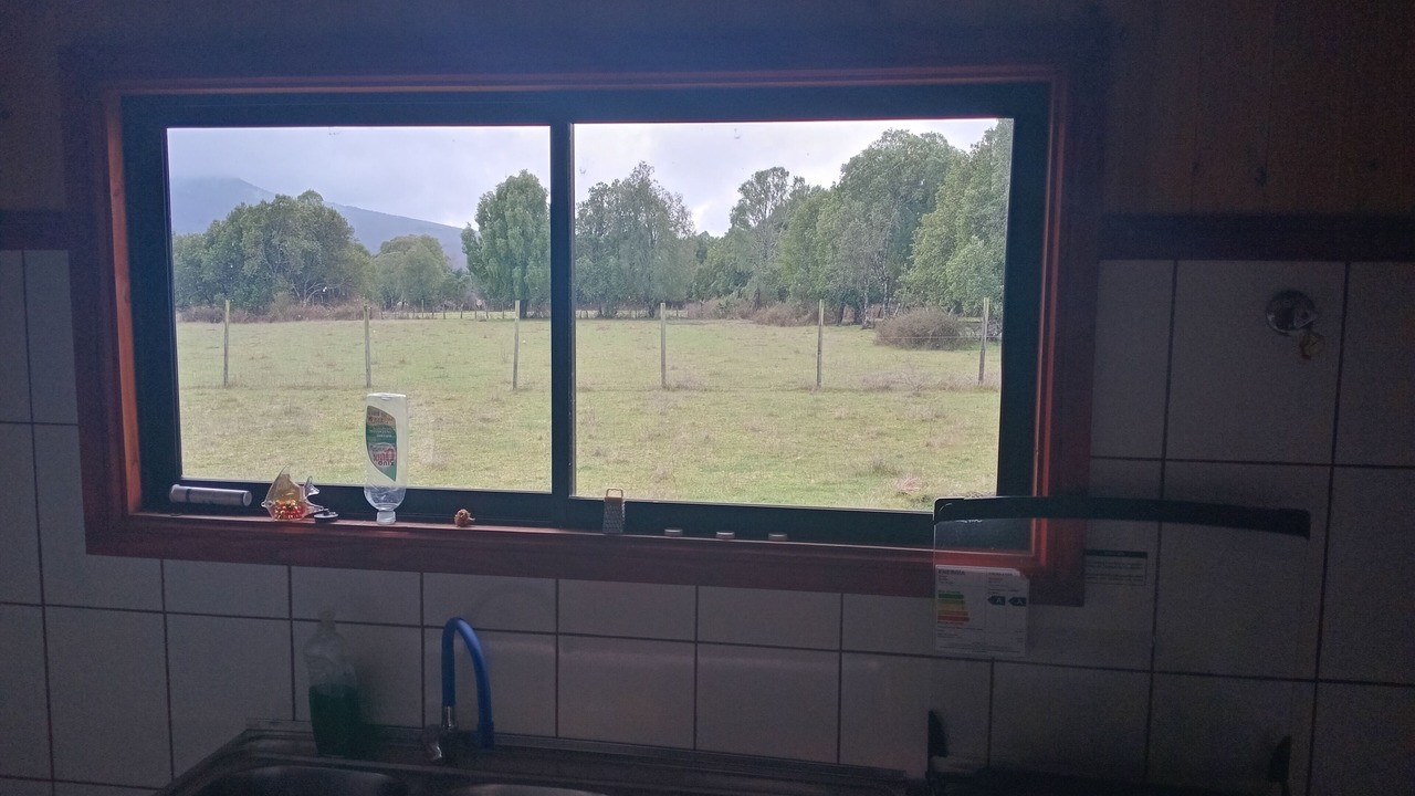 Photo of Others in Pucon
