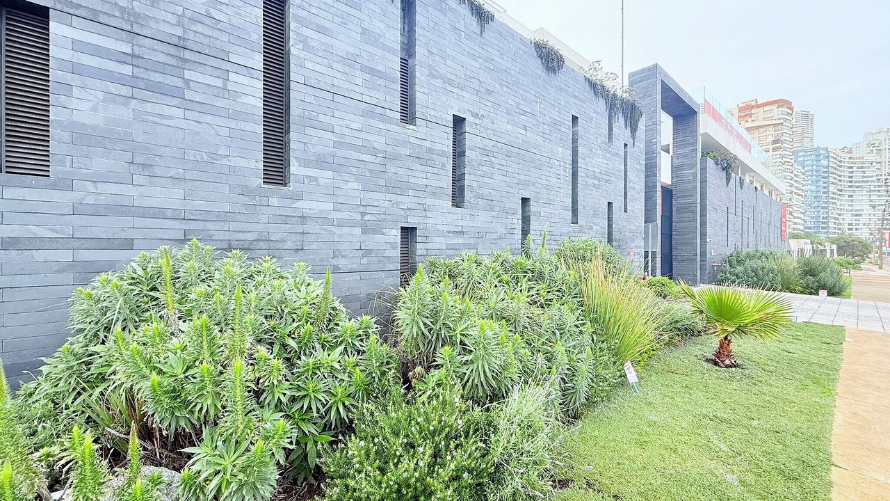 Photo of Outdoor in Renaca