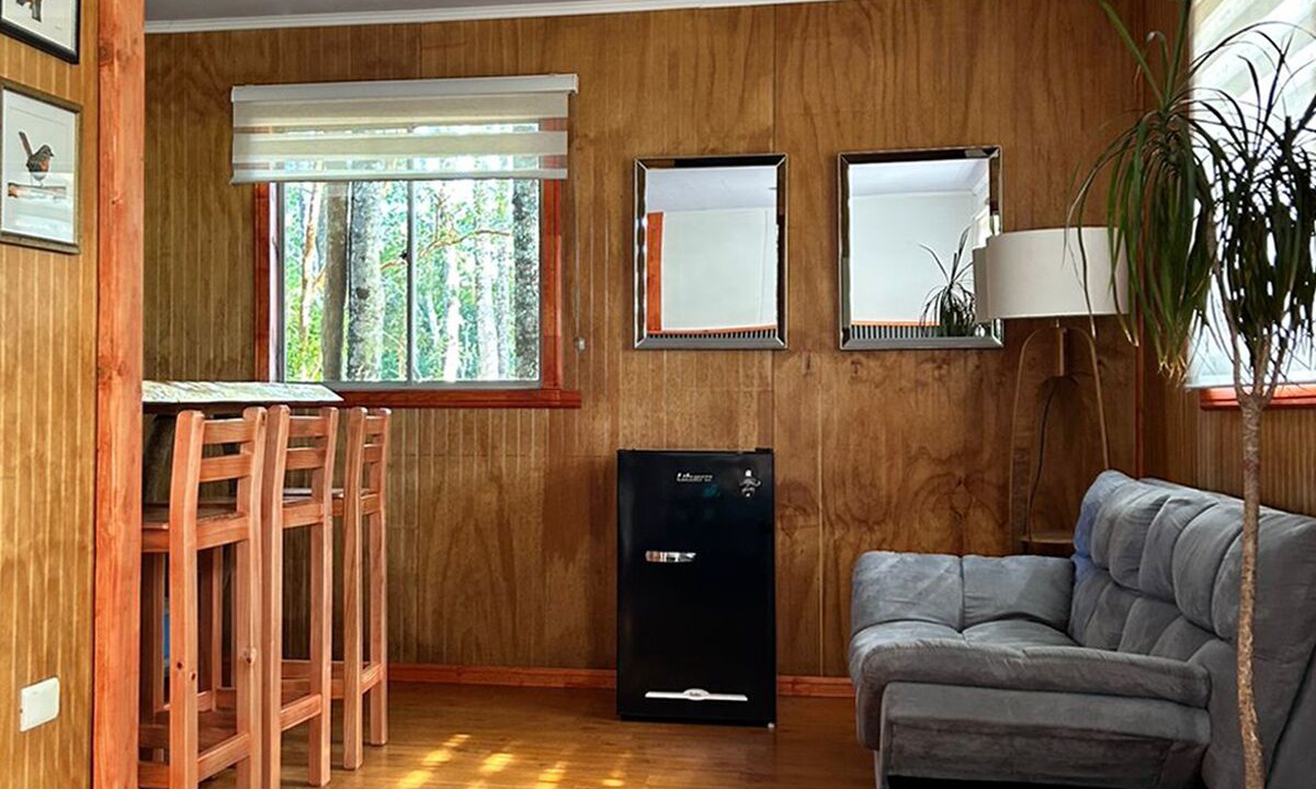 Photo of Livingroom in Valdivia