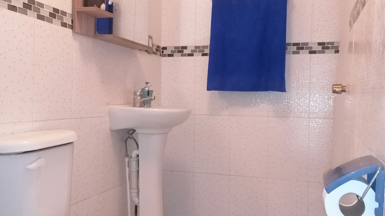 Photo of Bathroom in Apoquindo