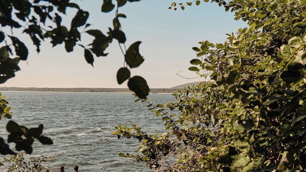 Photo of Others in Florianopolis