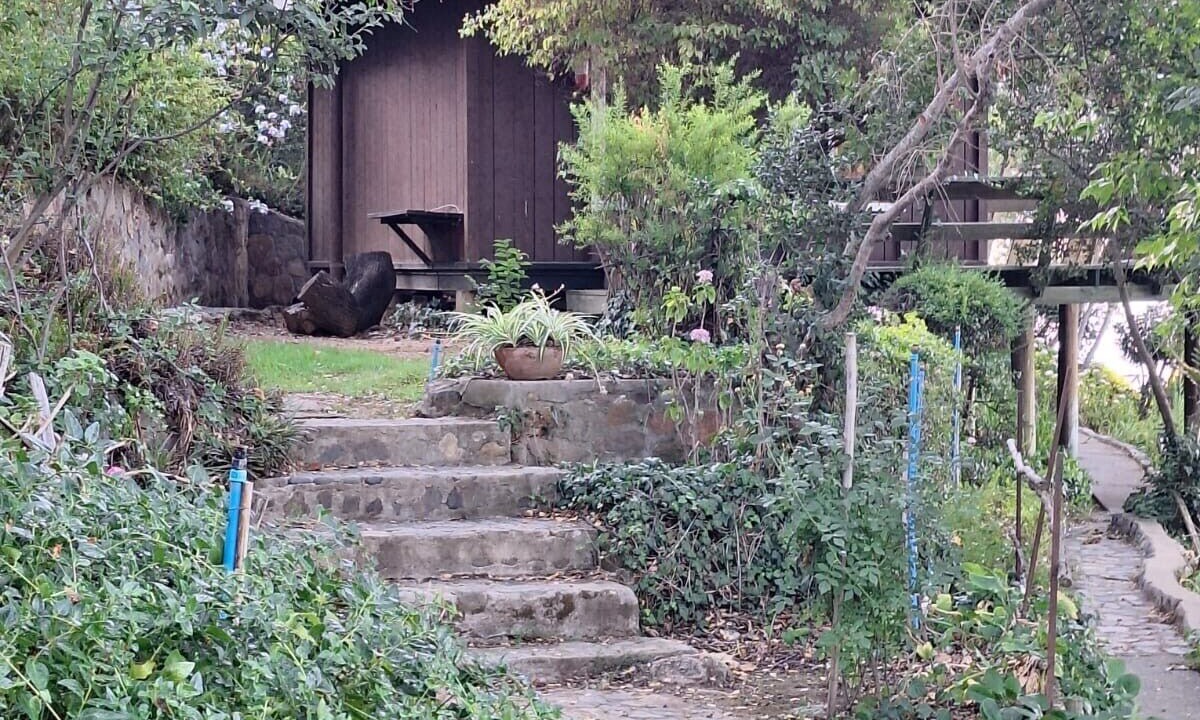 Photo of Outdoor in San Francisco de Mostazal