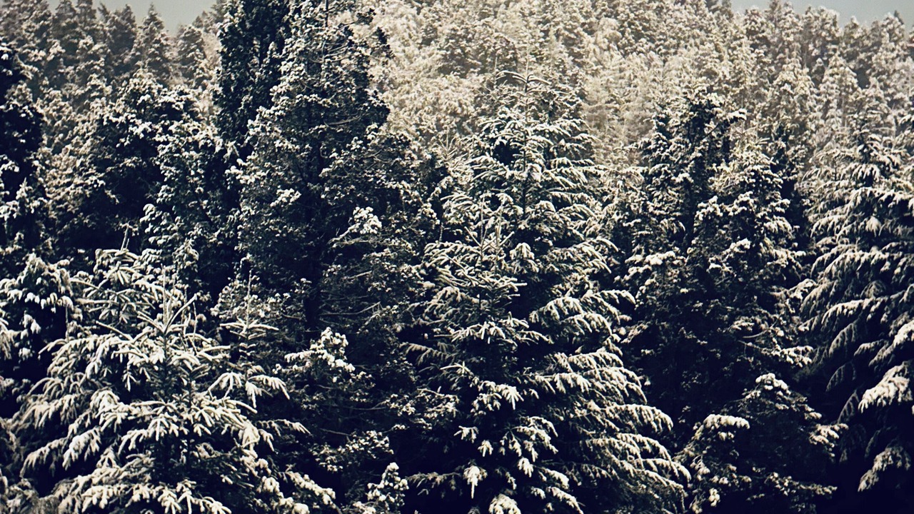 Photo of Others in San Carlos de Bariloche